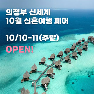 의정부 더셜리 허니문페어